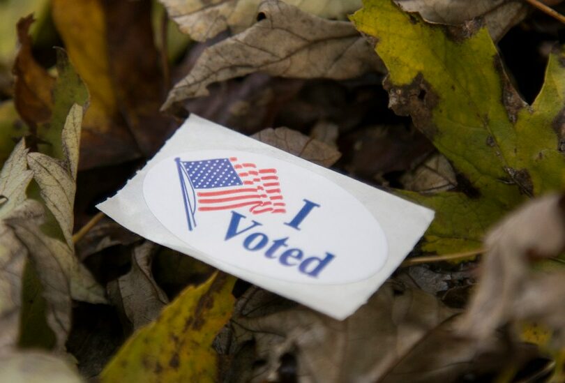 I Voted coupon on green and brown leaves during daytime