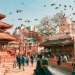 a flock of birds flying over a building